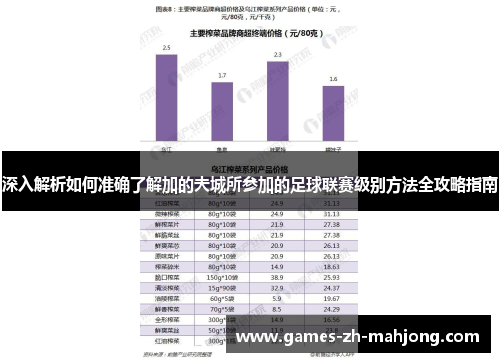深入解析如何准确了解加的夫城所参加的足球联赛级别方法全攻略指南 深入解析如何准确了解加的夫城所参加的足球联赛级别方法全攻略指南