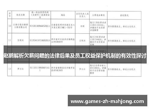 赵鹏解析欠薪问题的法律后果及员工权益保护机制的有效性探讨