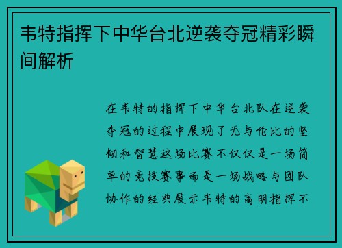 韦特指挥下中华台北逆袭夺冠精彩瞬间解析