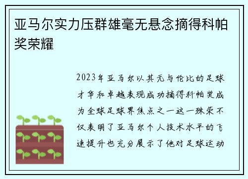 亚马尔实力压群雄毫无悬念摘得科帕奖荣耀 亚马尔实力压群雄毫无悬念摘得科帕奖荣耀
